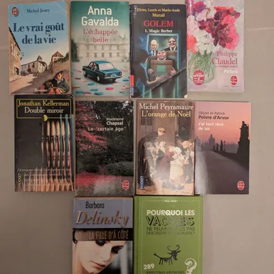 Lot de livres divers 